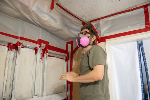 Best Mold Prevention Services  in New Egypt, NJ