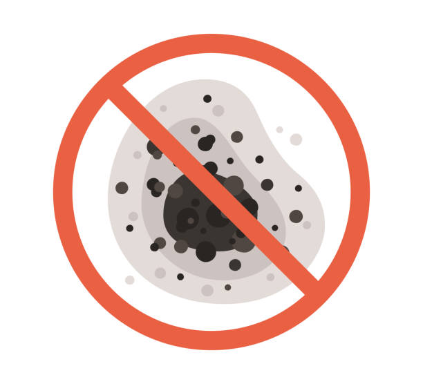 Best Mold Damage Restoration  in New Egypt, NJ