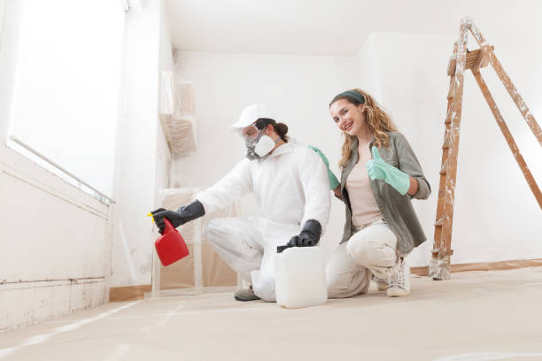 Best Airborne Mold Testing  in New Egypt, NJ