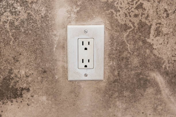 Best Mold Odor Removal Services  in New Egypt, NJ